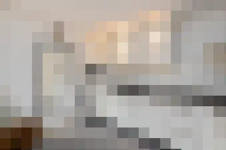 de Schouw 25 Raalte thumbnail 14