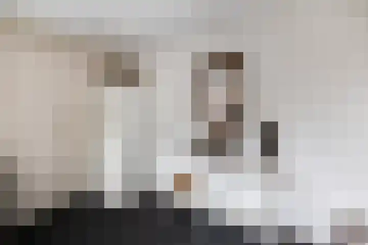 de Schouw 25 Raalte thumbnail 15