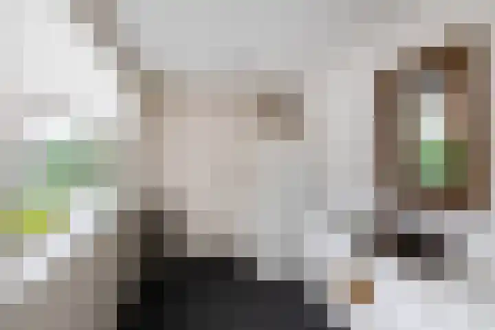 de Schouw 25 Raalte thumbnail 16