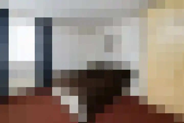 de Schouw 25 Raalte thumbnail 19