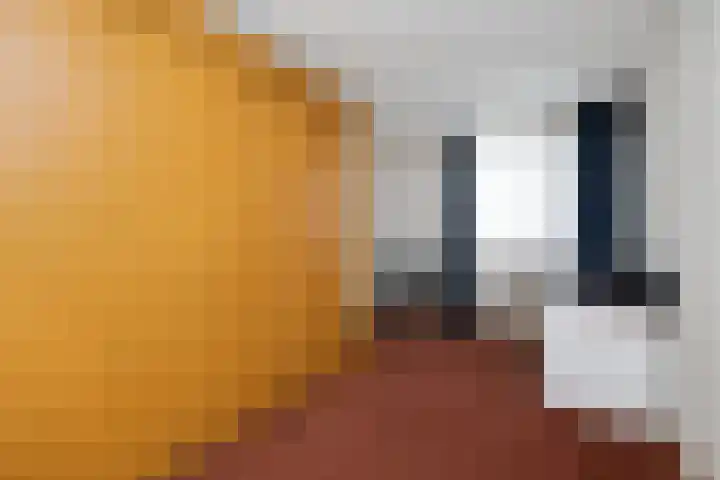 de Schouw 25 Raalte thumbnail 20