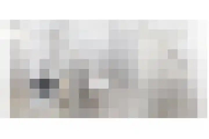 de Schouw 25 Raalte thumbnail 22