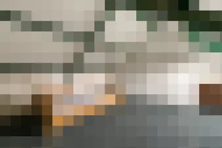 de Schouw 25 Raalte thumbnail 23
