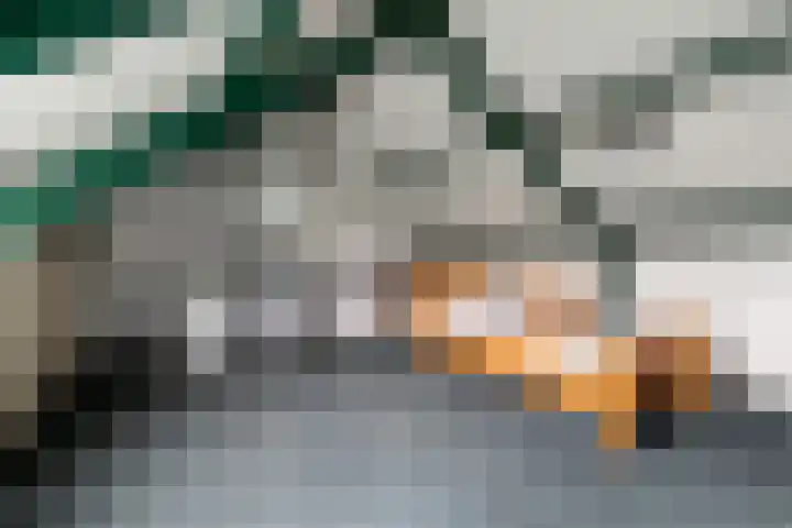 de Schouw 25 Raalte thumbnail 24