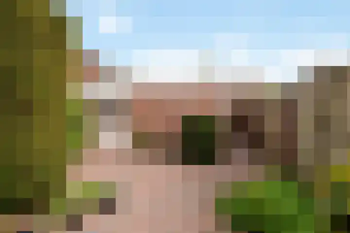 de Schouw 25 Raalte thumbnail 26