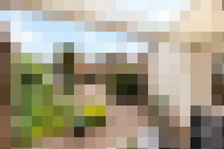 de Schouw 25 Raalte thumbnail 27