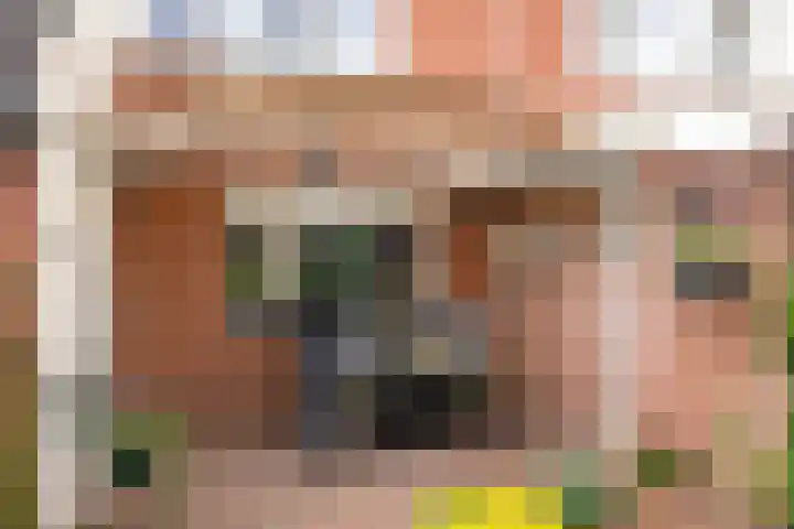 de Schouw 25 Raalte thumbnail 28
