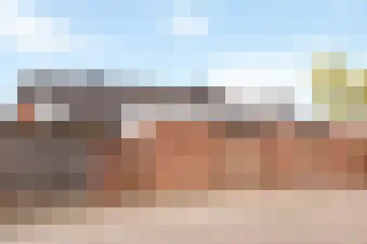 de Schouw 25 Raalte thumbnail 29