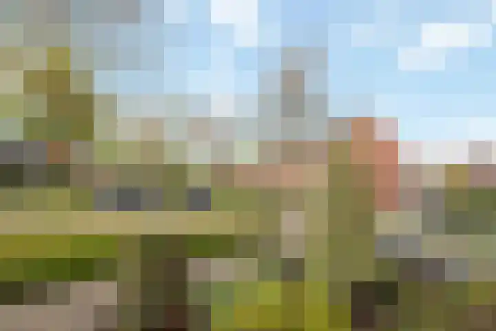 de Schouw 25 Raalte thumbnail 32