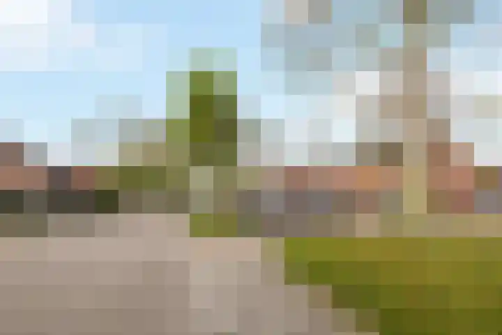 de Schouw 25 Raalte thumbnail 33