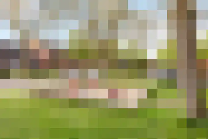 de Schouw 25 Raalte thumbnail 34