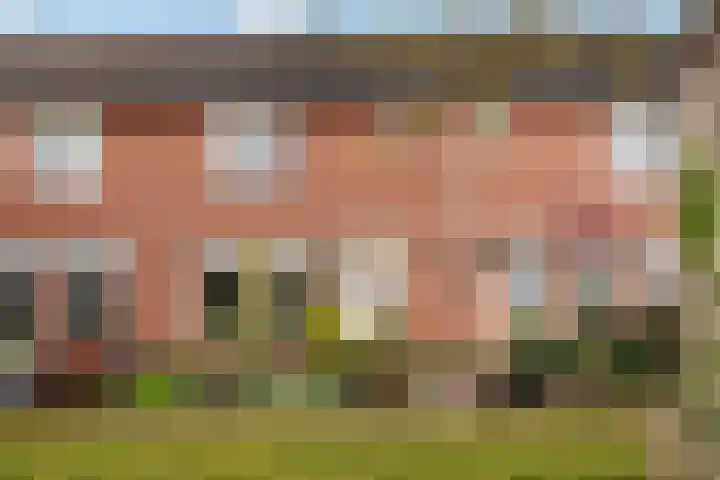de Schouw 25 Raalte thumbnail 4