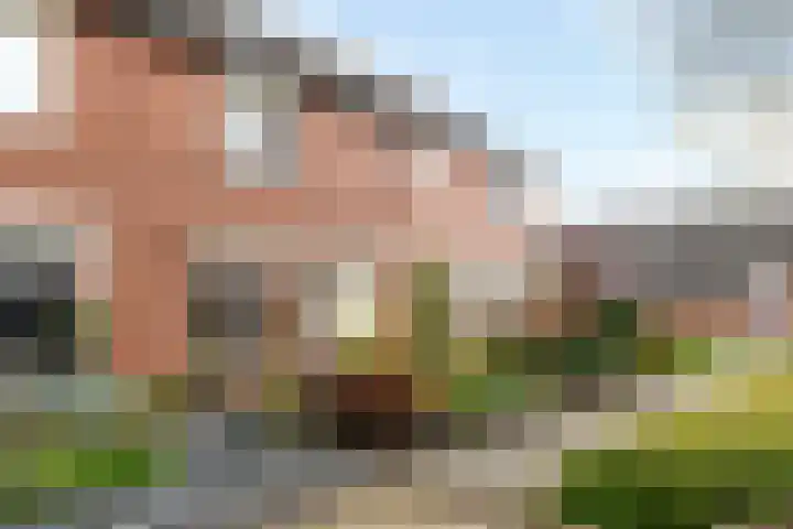 de Schouw 25 Raalte thumbnail 5