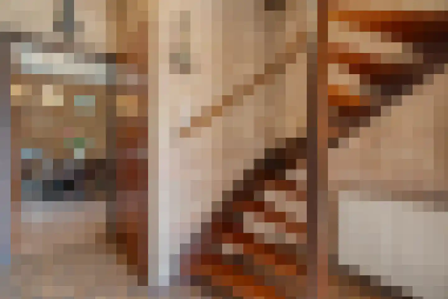 de Schouw 30 Raalte thumbnail 10