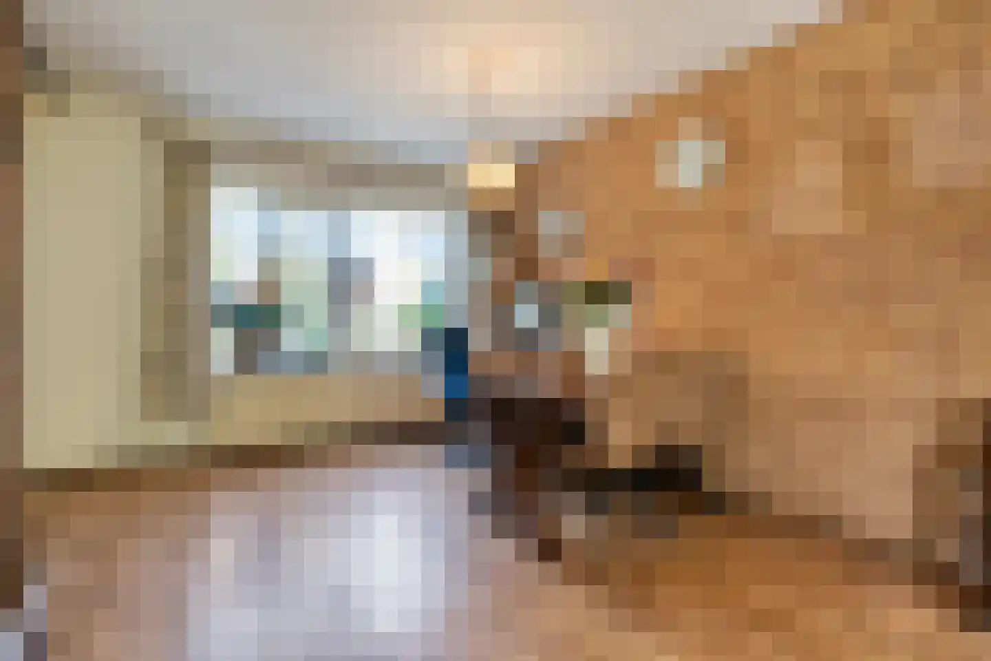 de Schouw 30 Raalte thumbnail 13
