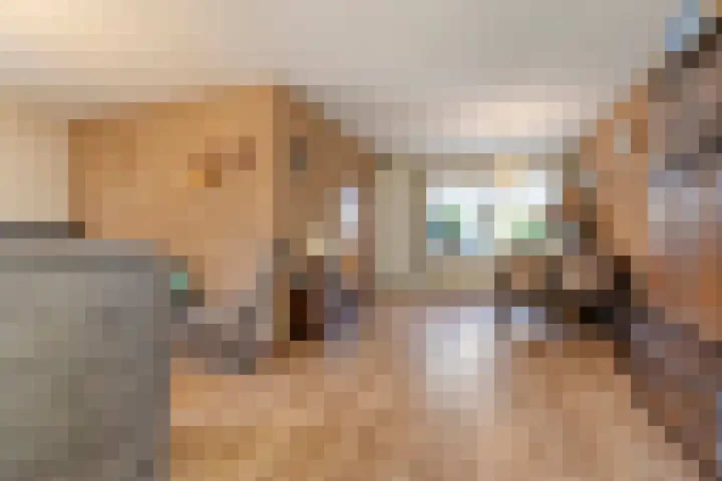 de Schouw 30 Raalte thumbnail 15