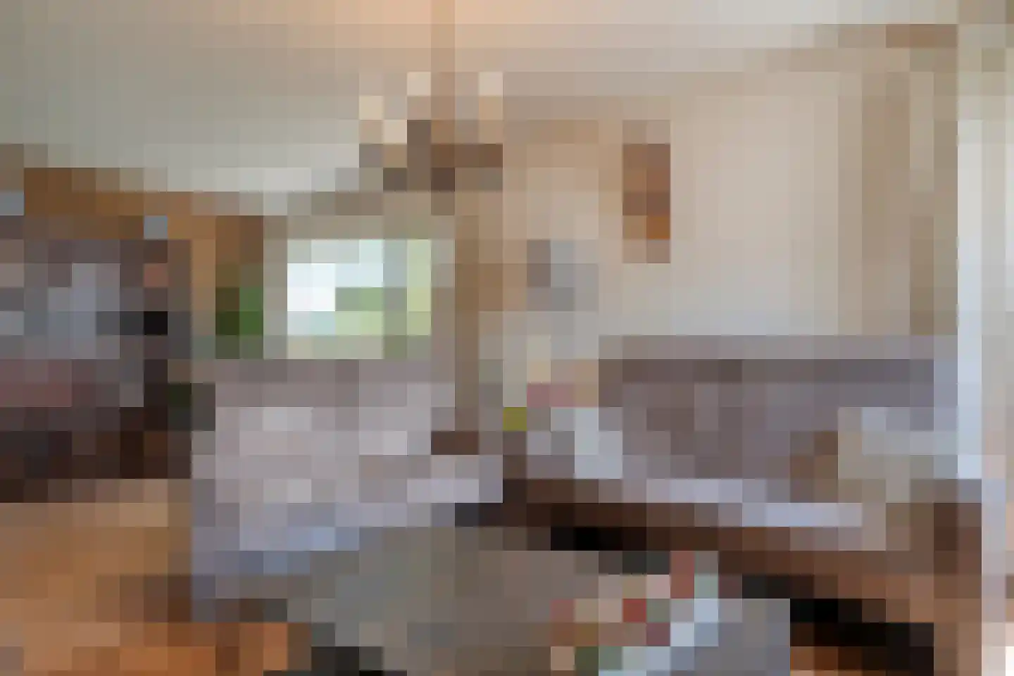 de Schouw 30 Raalte thumbnail 16