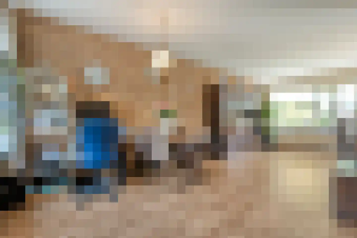 de Schouw 30 Raalte thumbnail 17