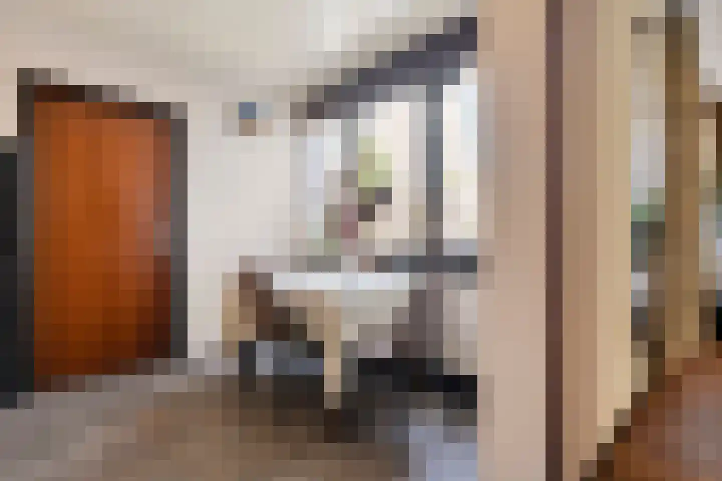 de Schouw 30 Raalte thumbnail 21