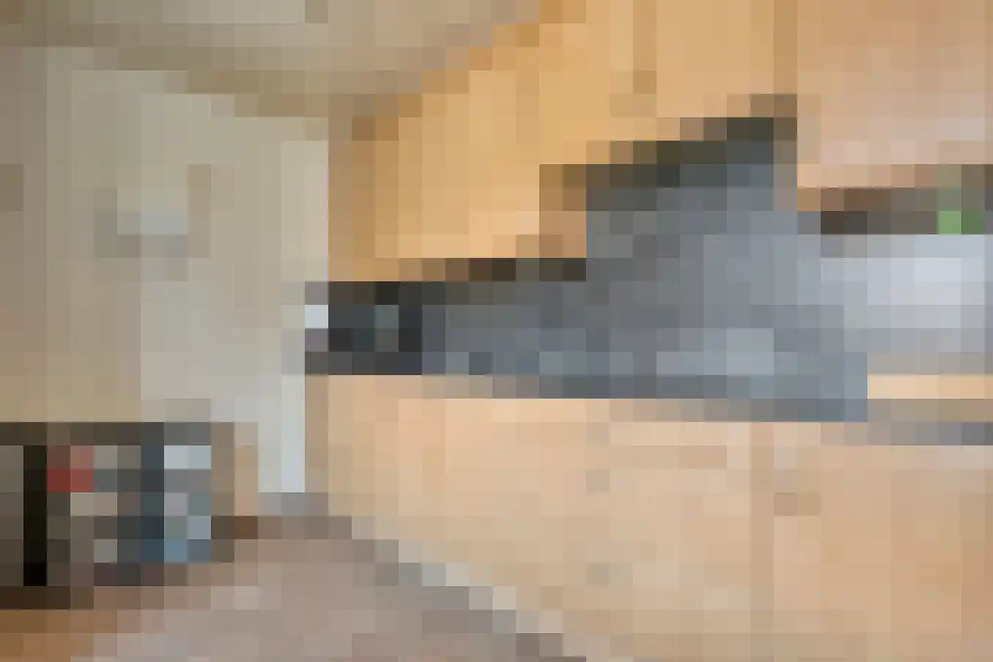 de Schouw 30 Raalte thumbnail 22