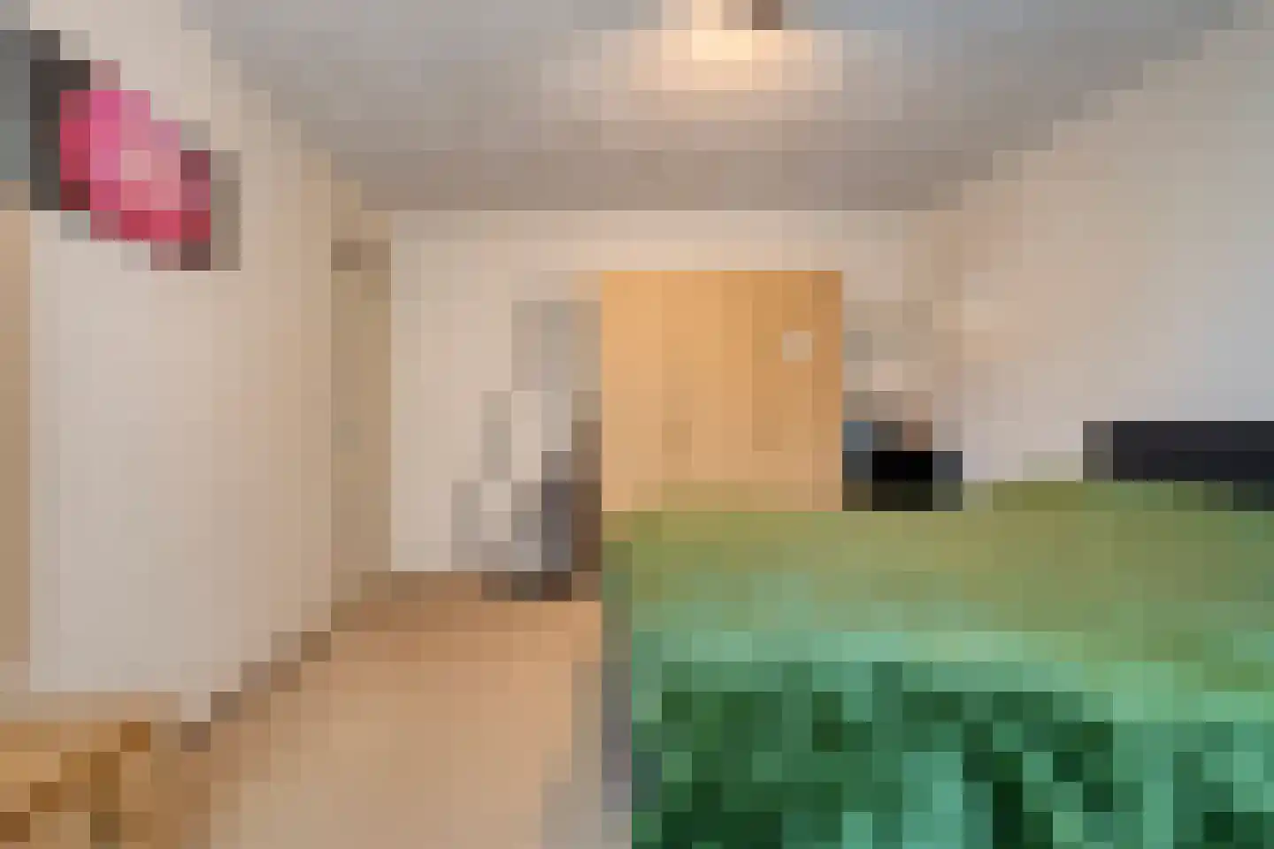 de Schouw 30 Raalte thumbnail 29