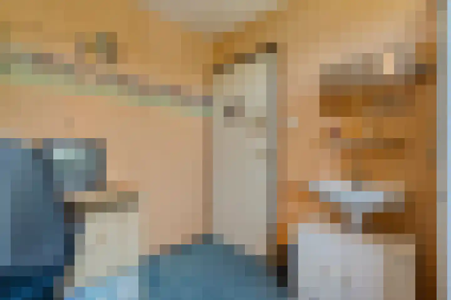 de Schouw 30 Raalte thumbnail 31