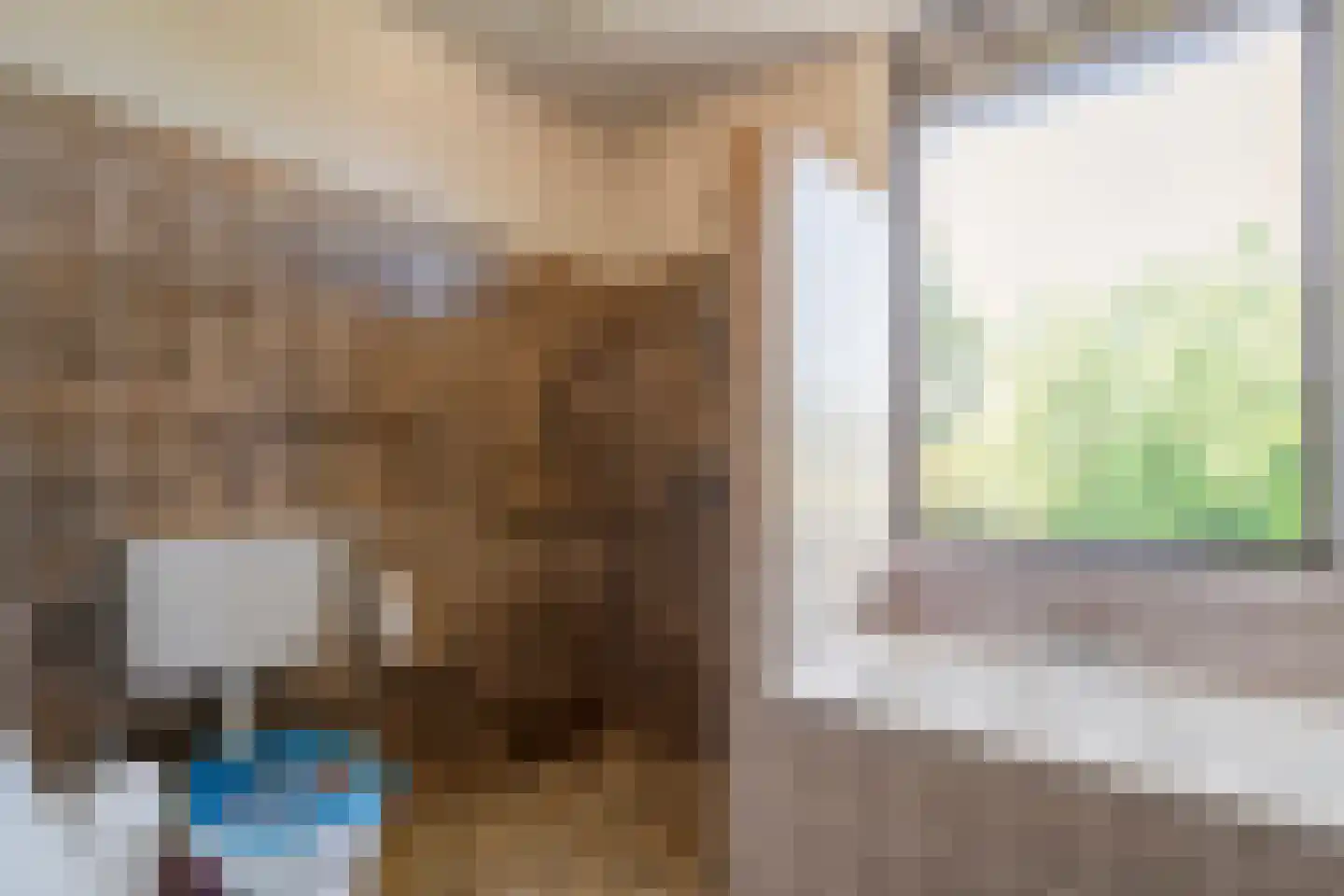 de Schouw 30 Raalte thumbnail 32