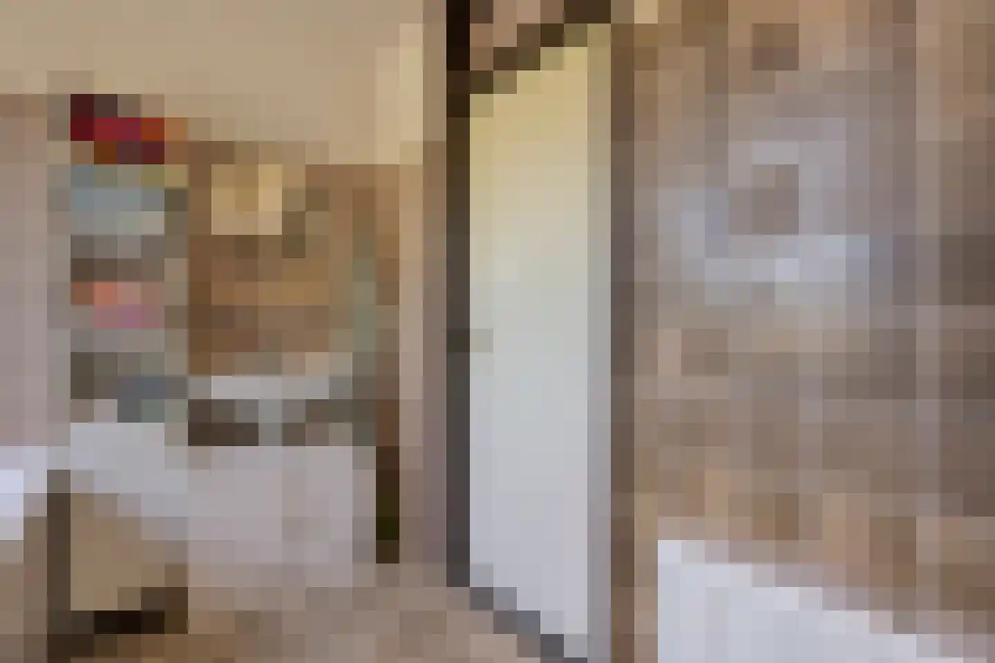 de Schouw 30 Raalte thumbnail 33