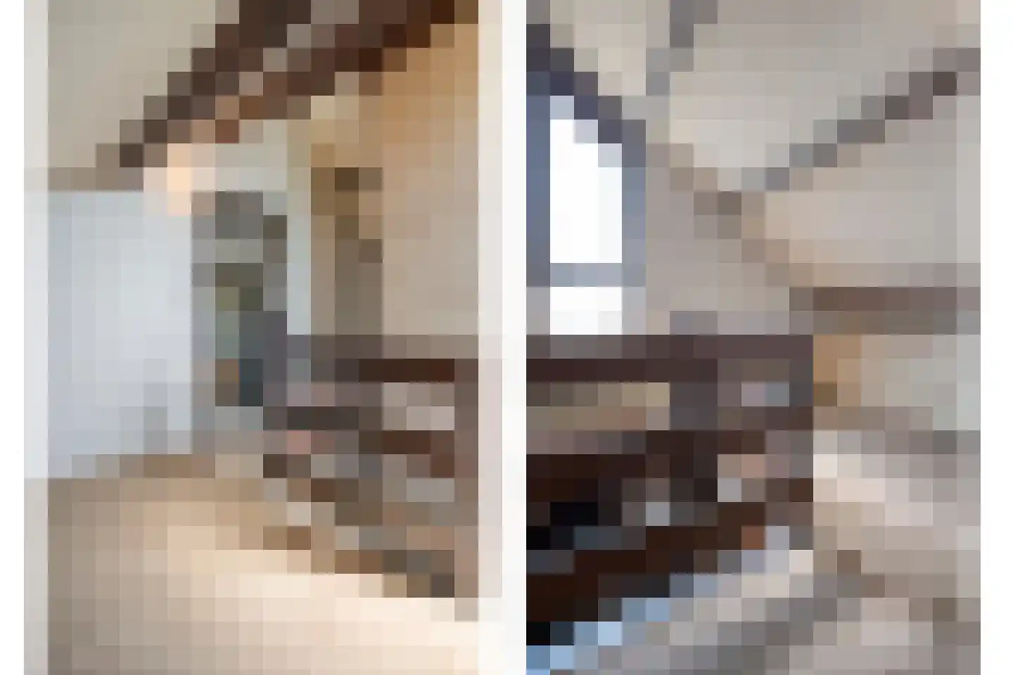 de Schouw 30 Raalte thumbnail 34