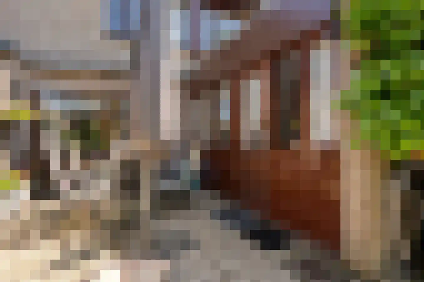 de Schouw 30 Raalte thumbnail 38