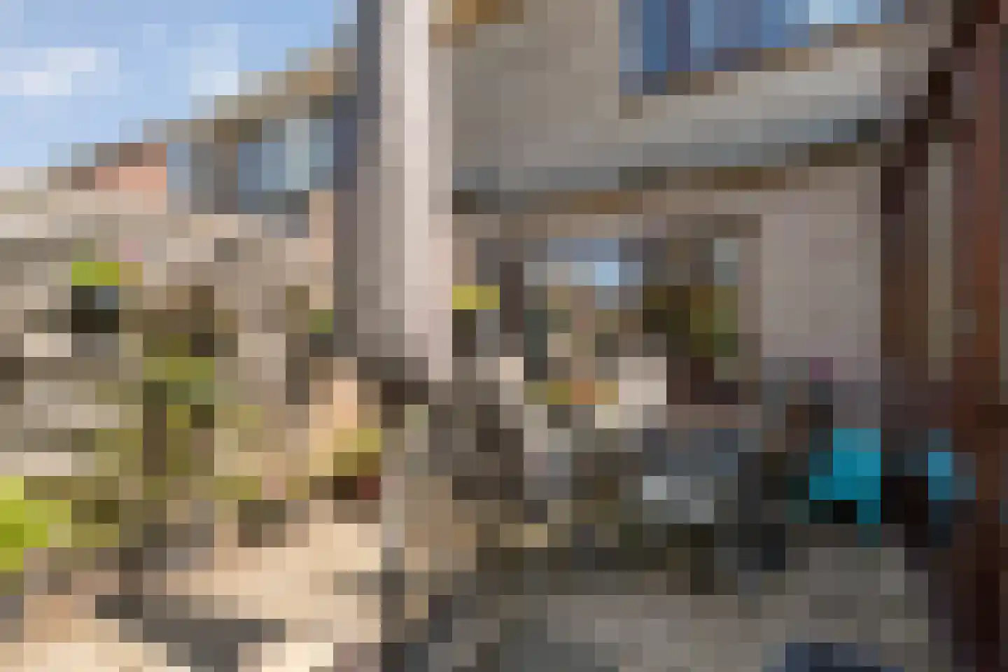 de Schouw 30 Raalte thumbnail 39