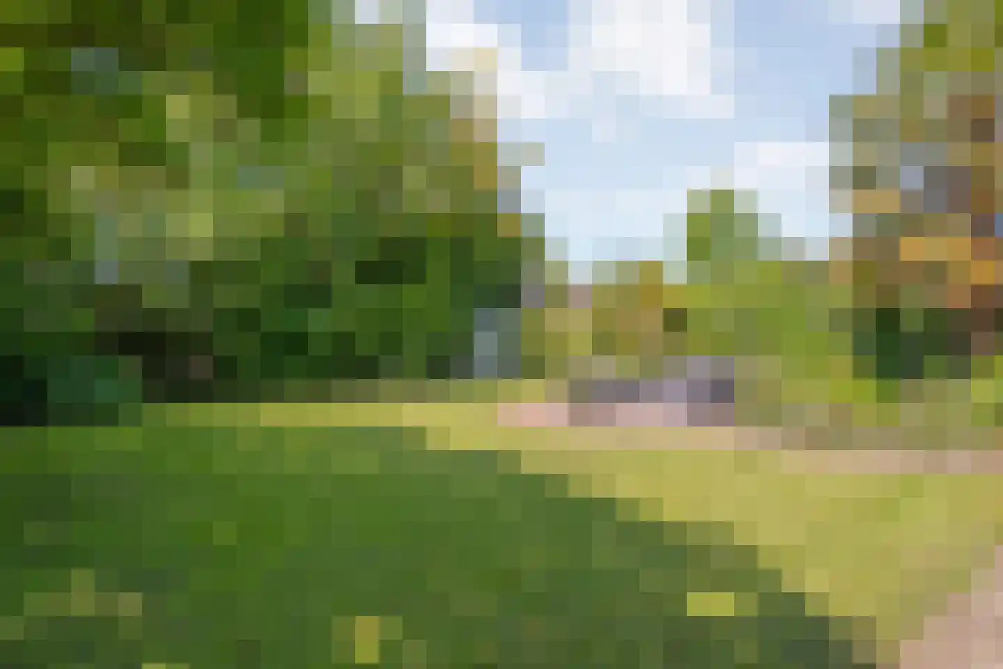 de Schouw 30 Raalte thumbnail 41