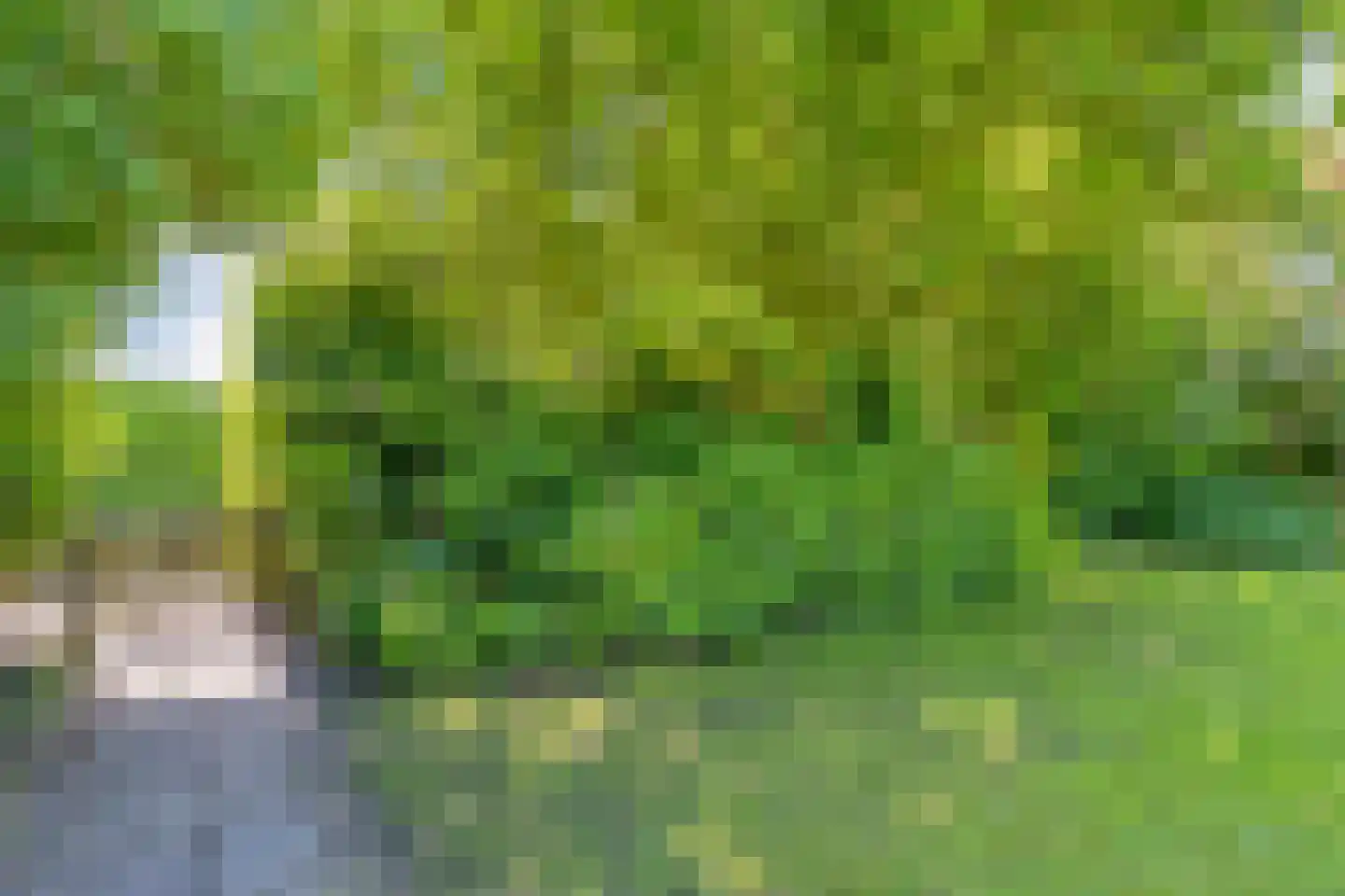 de Schouw 30 Raalte thumbnail 42