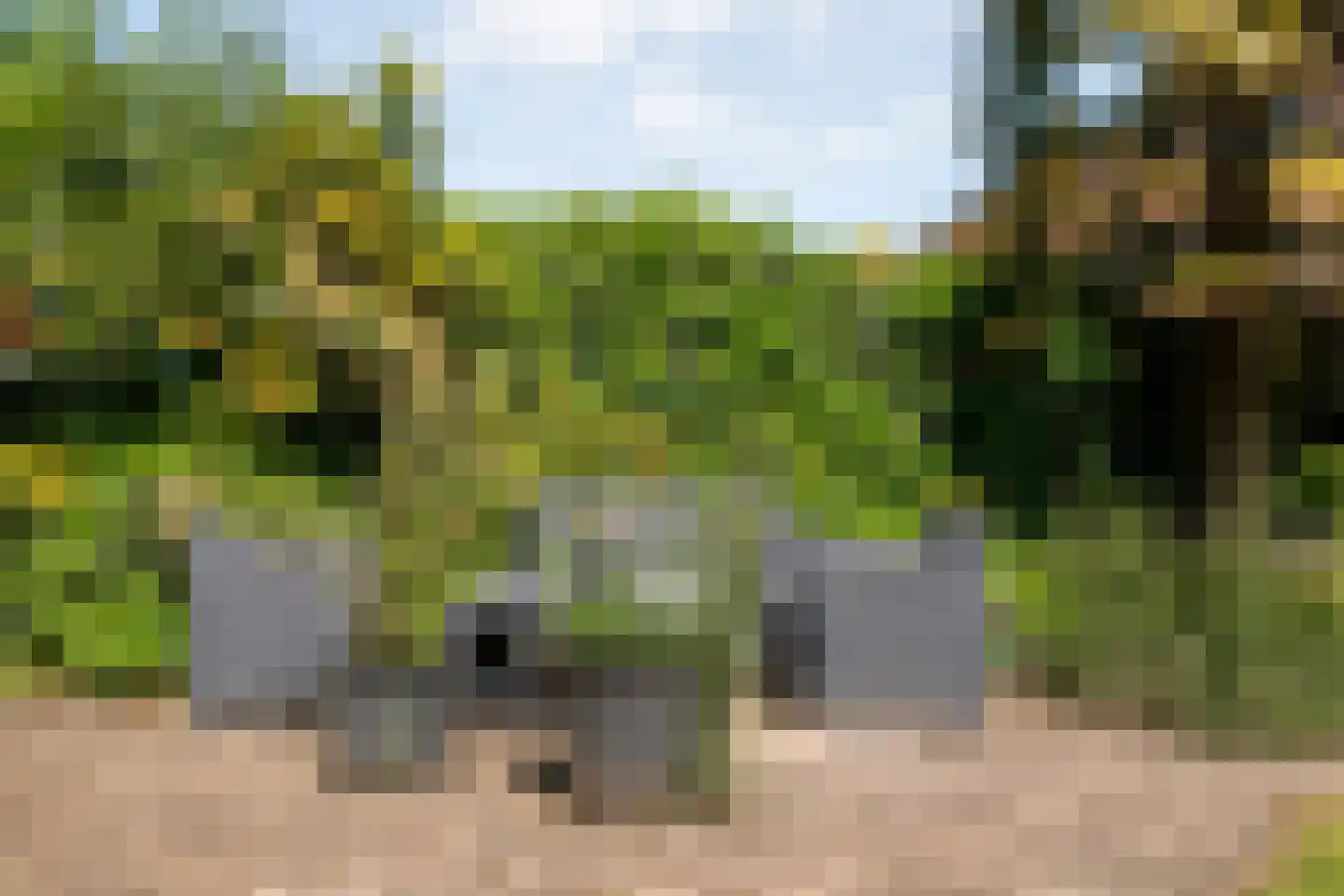 de Schouw 30 Raalte thumbnail 43