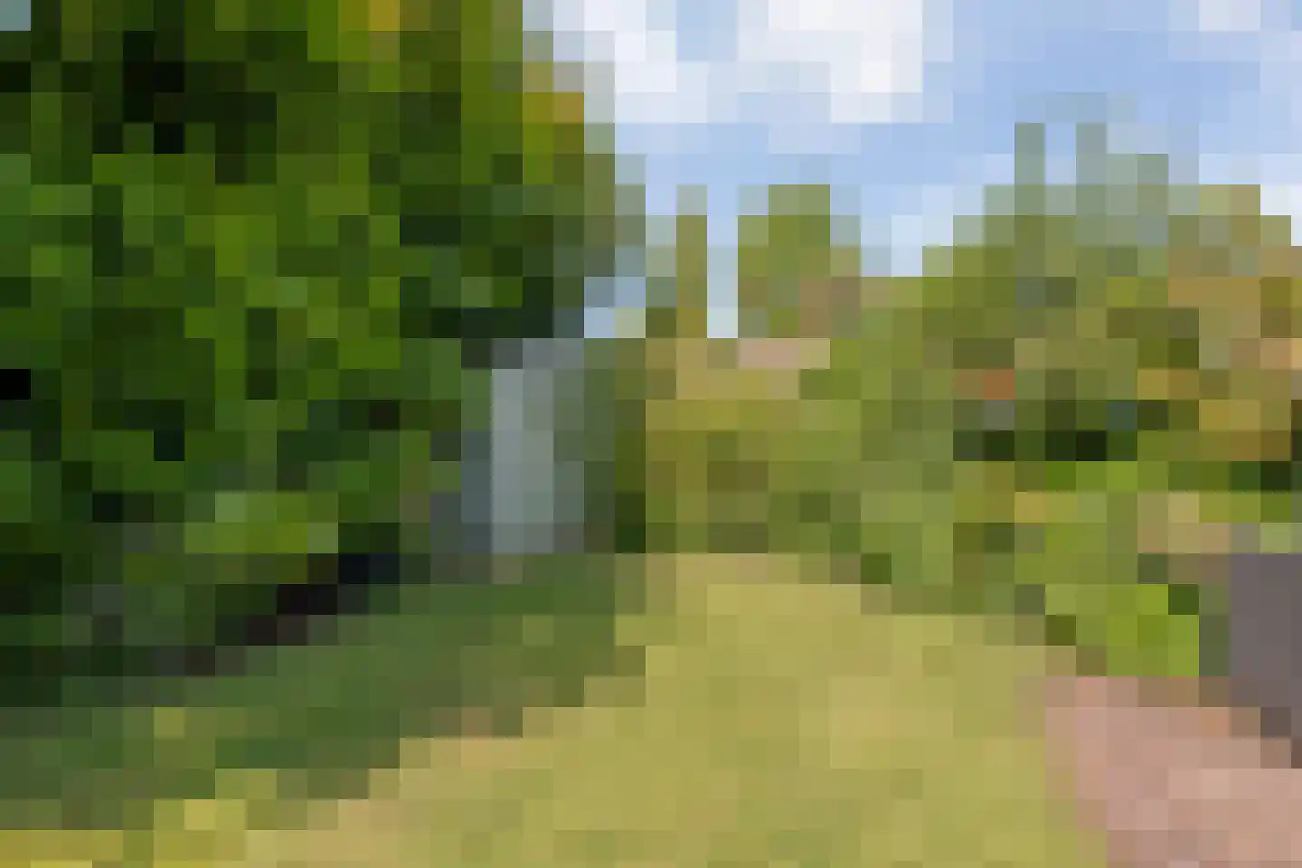 de Schouw 30 Raalte thumbnail 45
