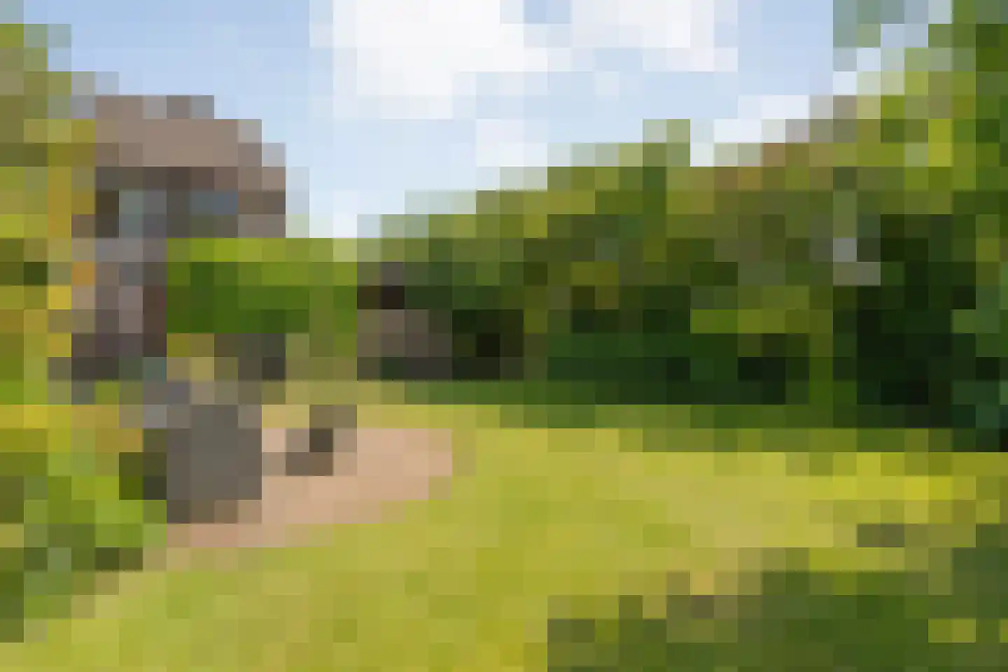 de Schouw 30 Raalte thumbnail 46