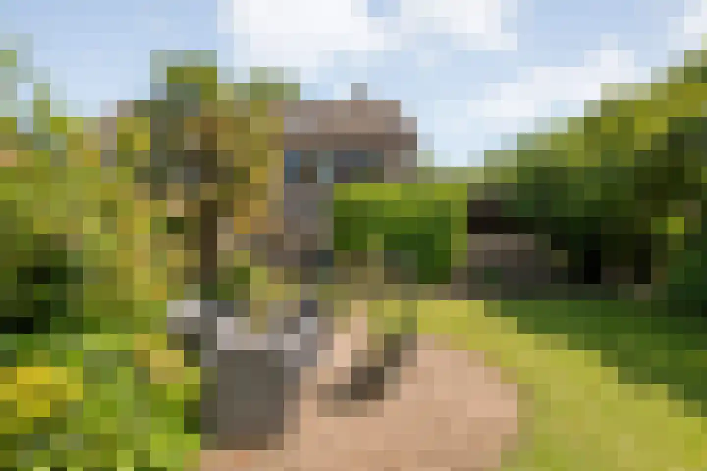 de Schouw 30 Raalte thumbnail 47