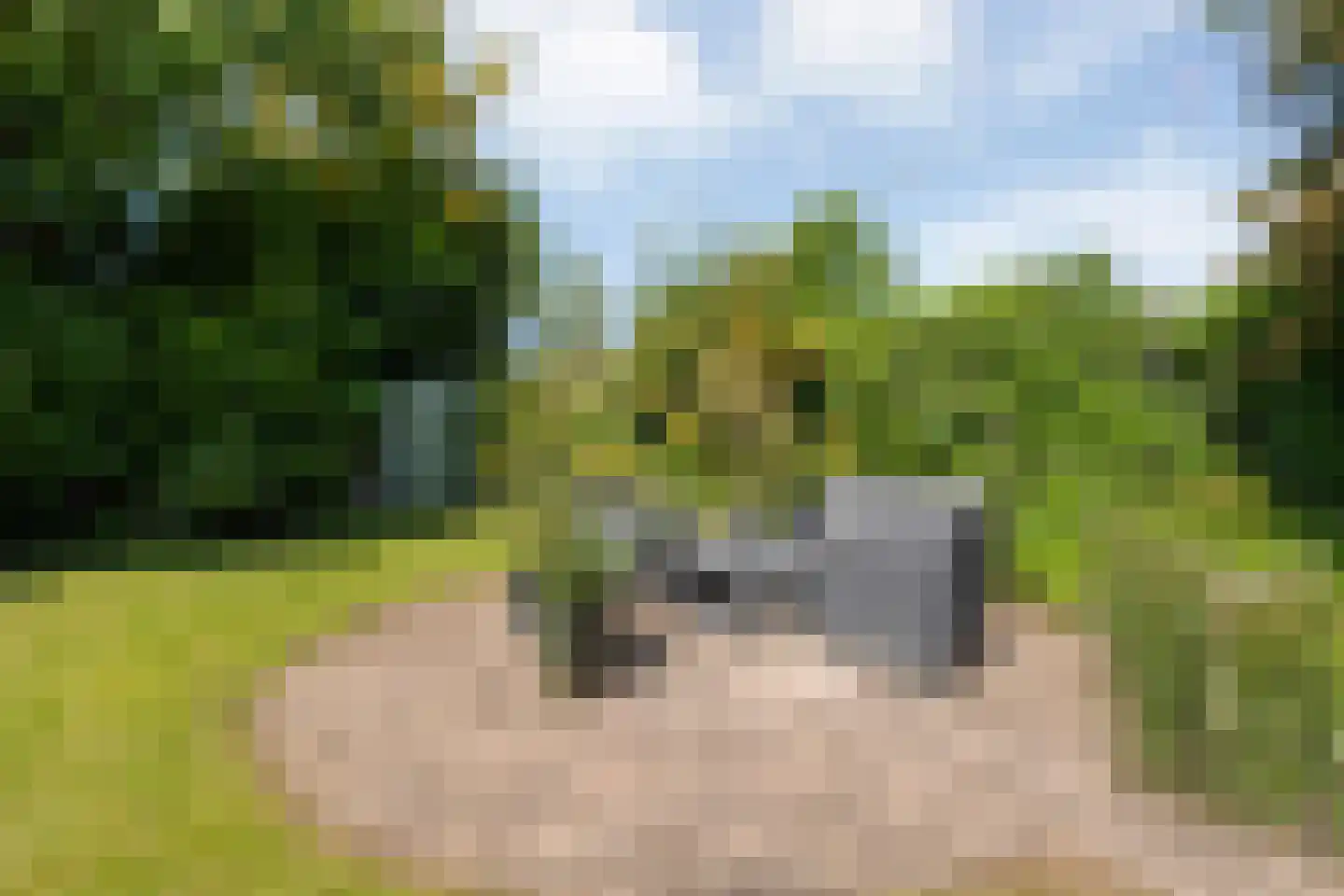 de Schouw 30 Raalte thumbnail 48
