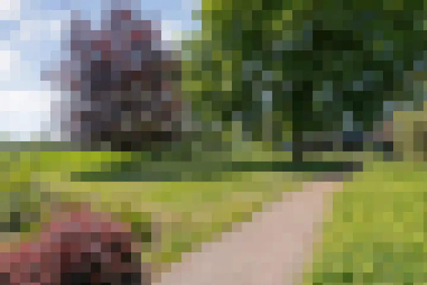 de Schouw 30 Raalte thumbnail 49