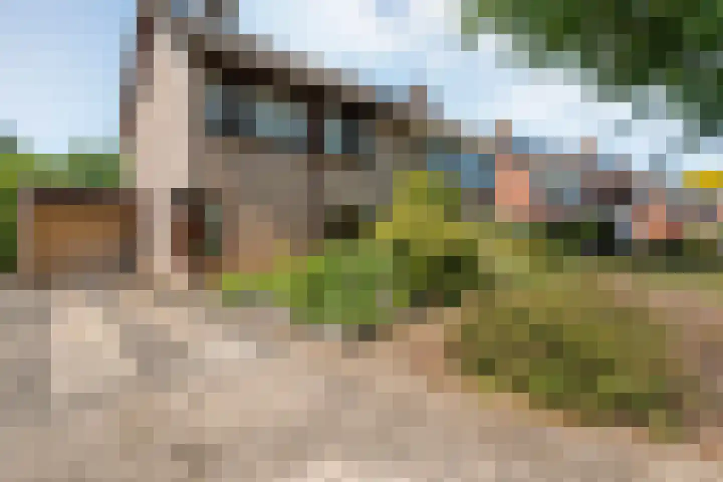 de Schouw 30 Raalte thumbnail 5