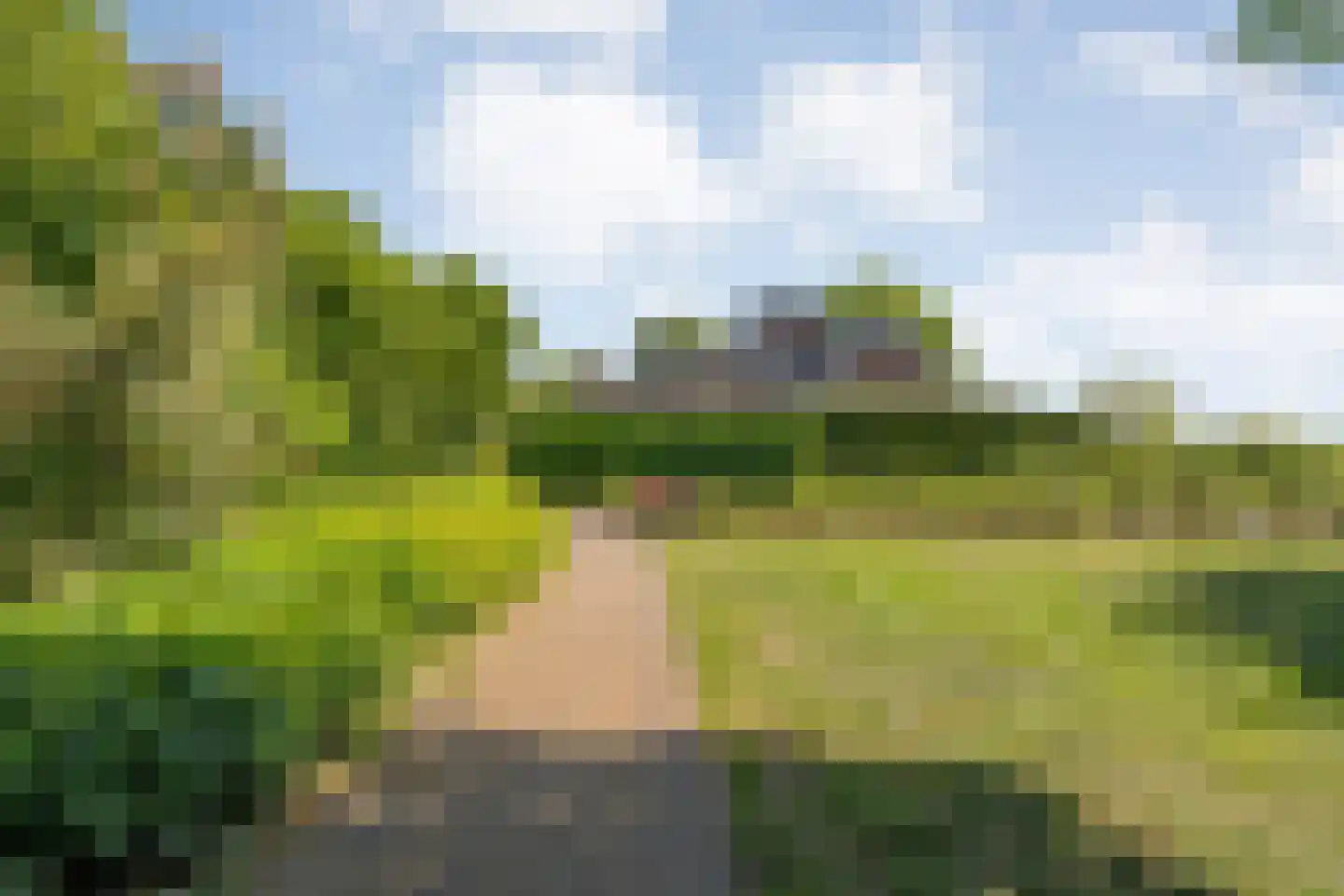 de Schouw 30 Raalte thumbnail 51