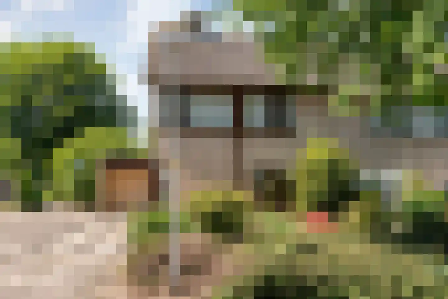 de Schouw 30 Raalte thumbnail 6