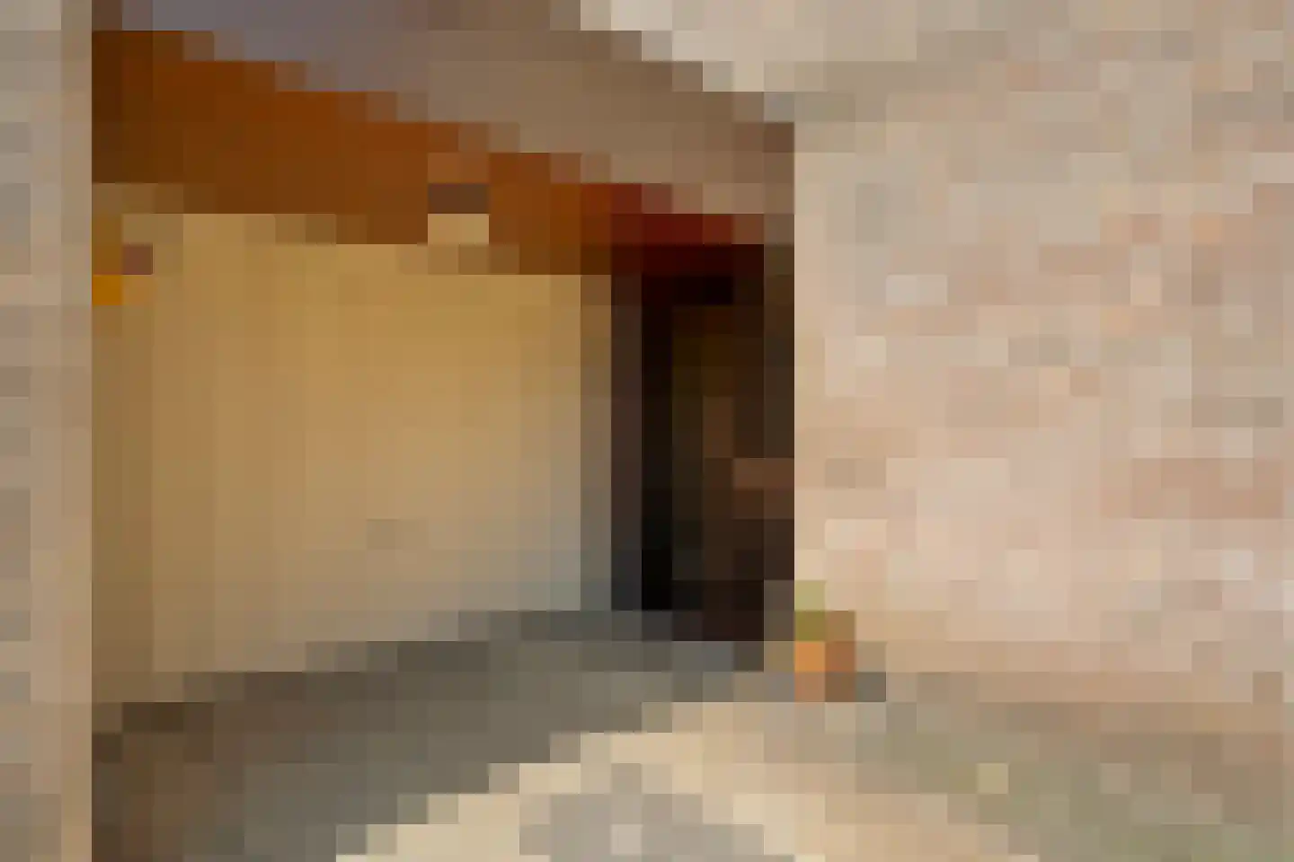 de Schouw 30 Raalte thumbnail 8