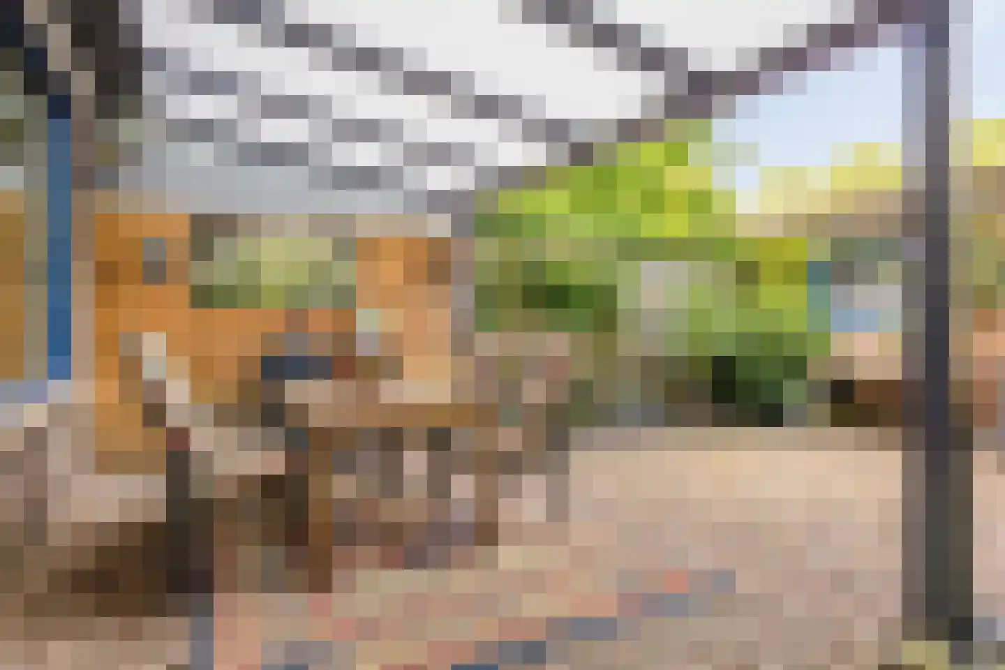 De Schouw 55 Oisterwijk thumbnail 30