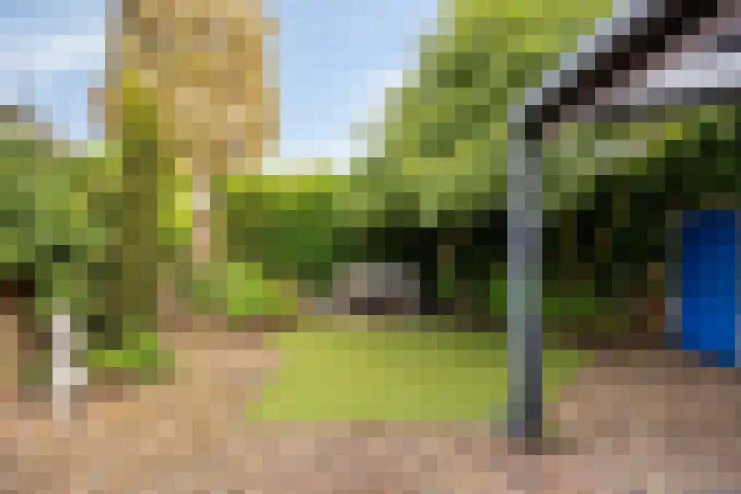 De Schouw 55 Oisterwijk thumbnail 32