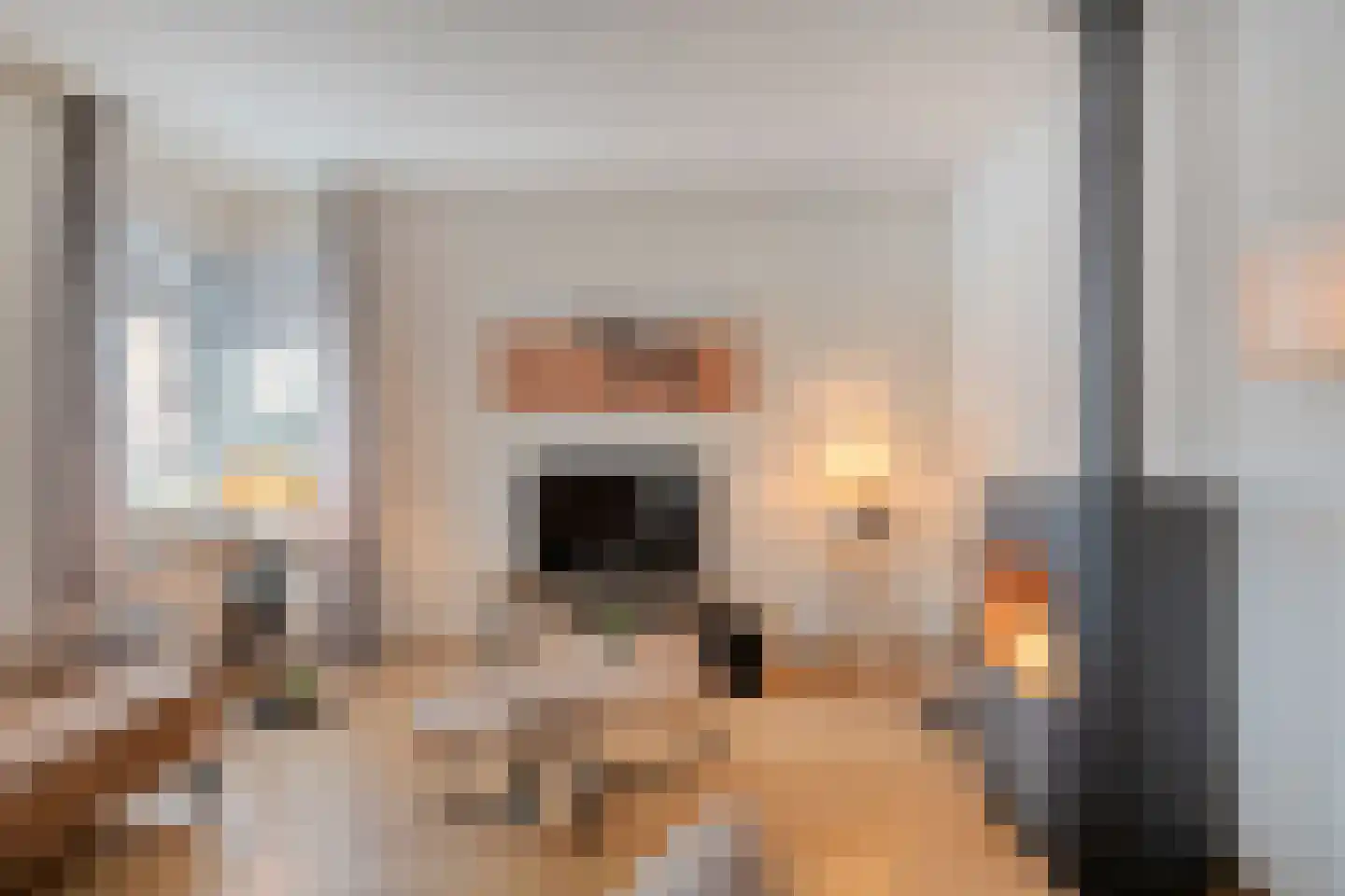 de Schouw 56 Raalte thumbnail 12