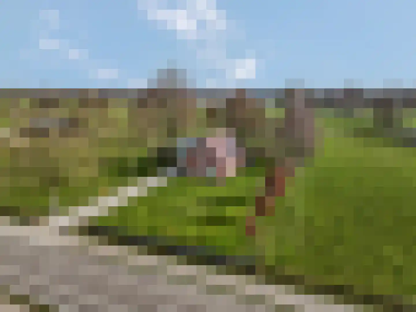 de Schouw 56 Raalte thumbnail 13