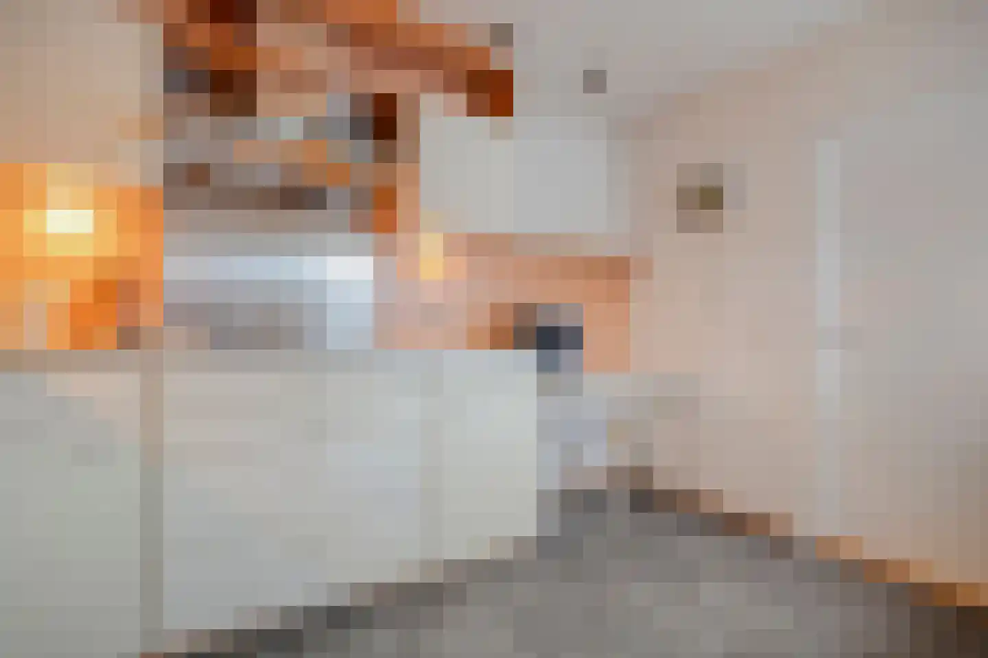de Schouw 56 Raalte thumbnail 19