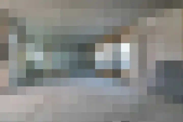de Schouw 56 Raalte thumbnail 20