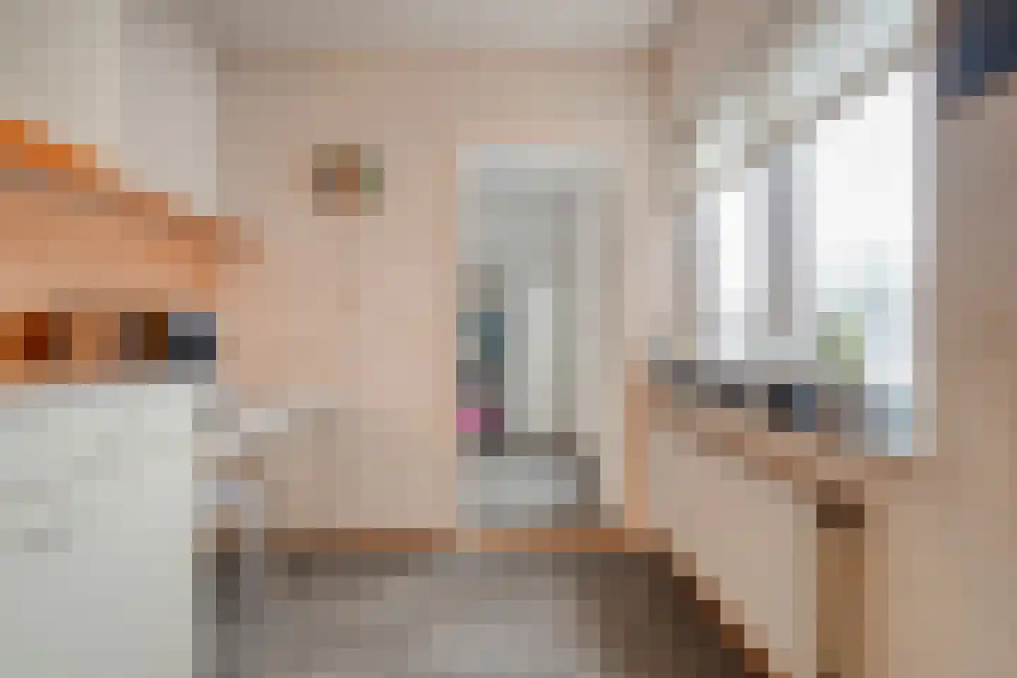 de Schouw 56 Raalte thumbnail 21